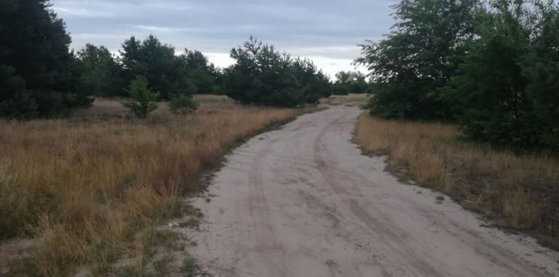 Tą drogą miały poruszać się samochody służące do budowy i eksploatacji hali (fot. materiały własne)