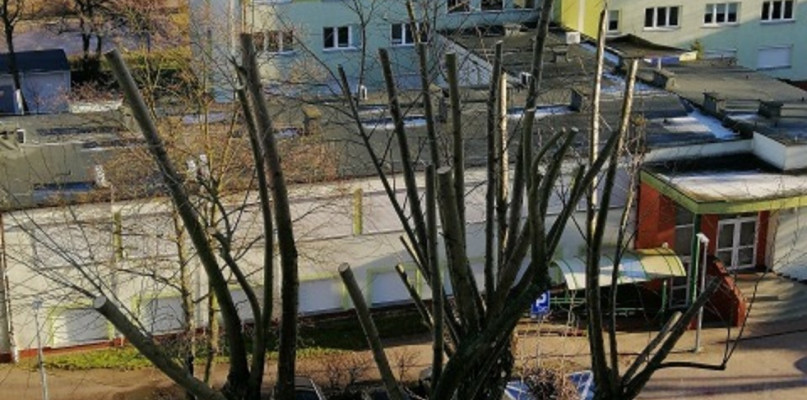 Fot. Nadesłana
