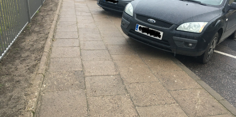 Foto. Nadesłane