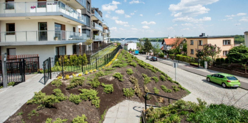 Toruń: szykują się wielkie zmiany na Winnicy. Przygotowano specjalny plan