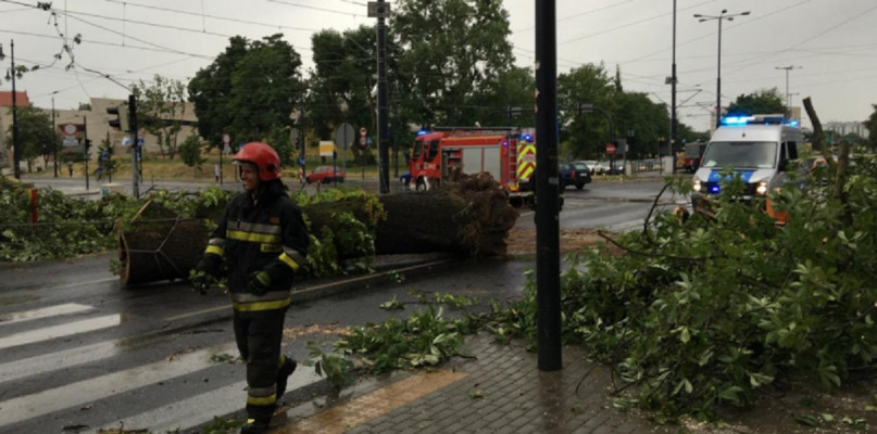 W poprzednich latach dochodziło już do wichur w Toruniu   Fot. Archiwum 