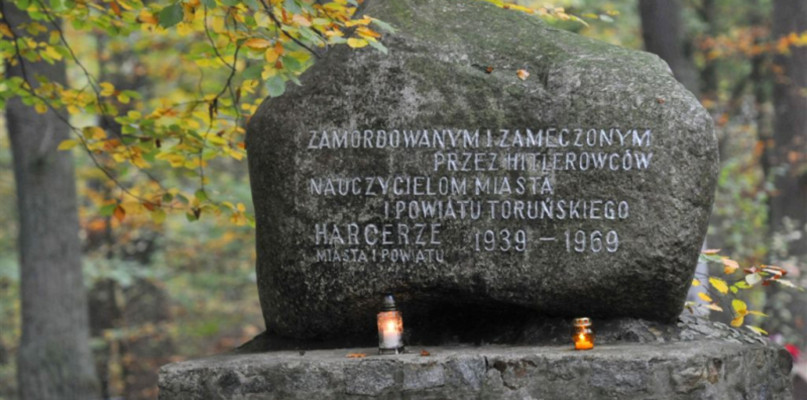 Fot. Małgorzata Litwin