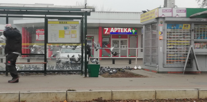 Fot. nadesłane