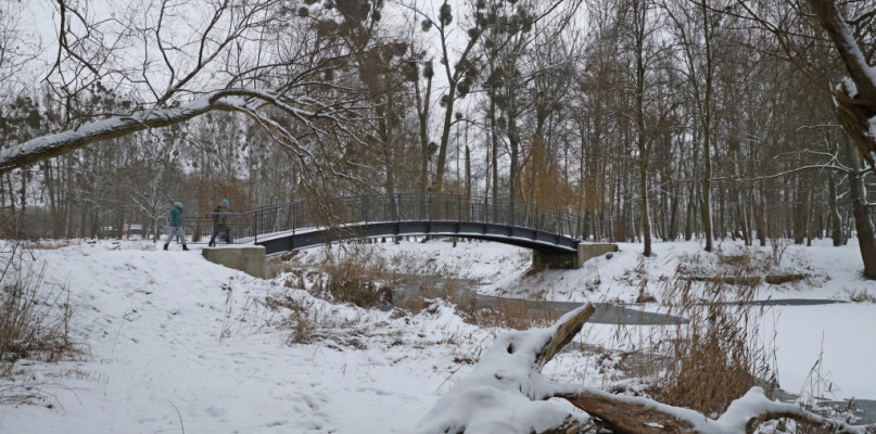 Fot. Miłosz Zieliński 