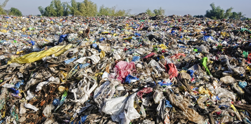 Toruń: urzędnicy biorą się za dzikie wysypiska. Proszą o pomoc mieszkańców