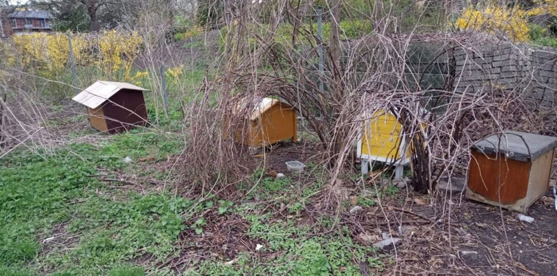 Toruń: budki dla kotów znikną z tego osiedla? Wszystko jasne!