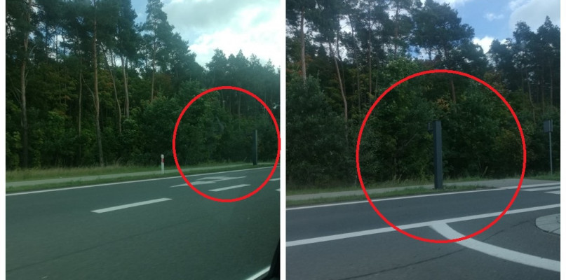 Fot. Nadesłane