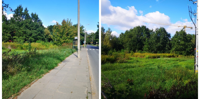 Fot. Stawki Toruń/Facebook