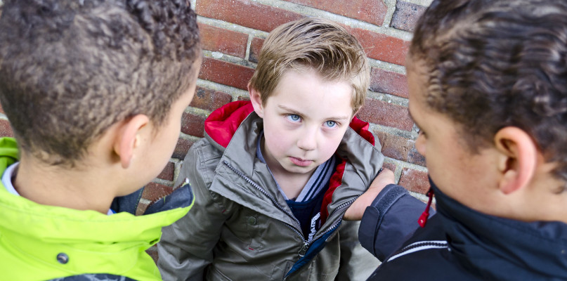 Toruń: bójka w szkole podstawowej. Dyrektor zabiera głos po awanturze!