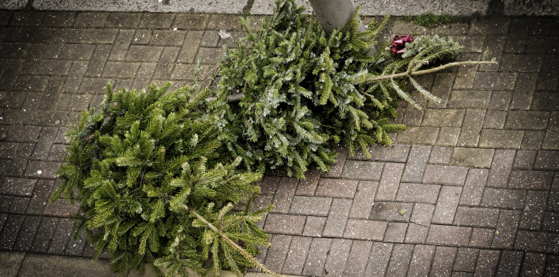 fot. depositphotos/zdjęcie ilustracyjne