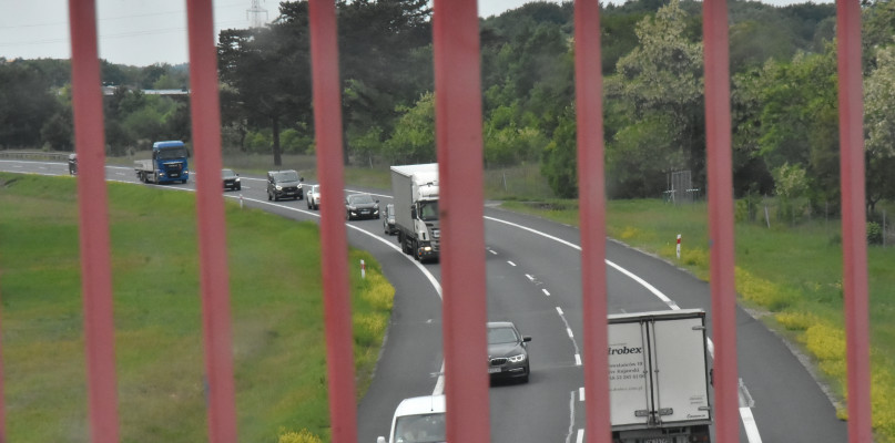 Fot. Daniel Wiśniewski