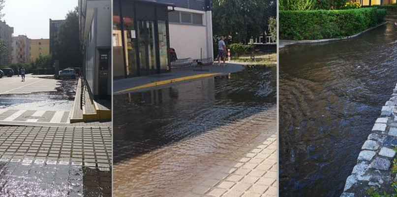 Fot. Nadesłane