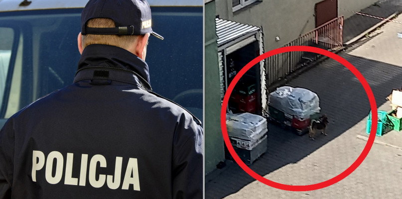 Zdjęcie ilustracyjne. Fot. Depositphotos.com/Nadesłane