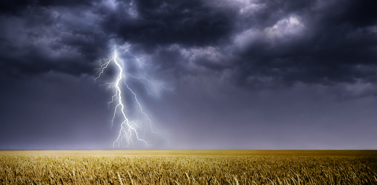 fot. depositphotos/zdjęcie ilustracyjne