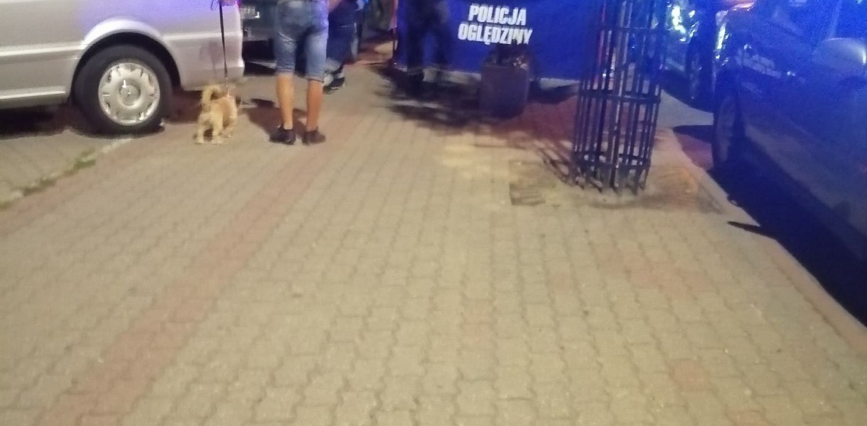 Fot. Nadesłane