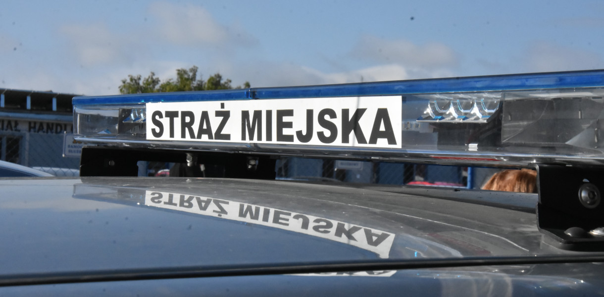 Fot. Daniel Wiśniewski