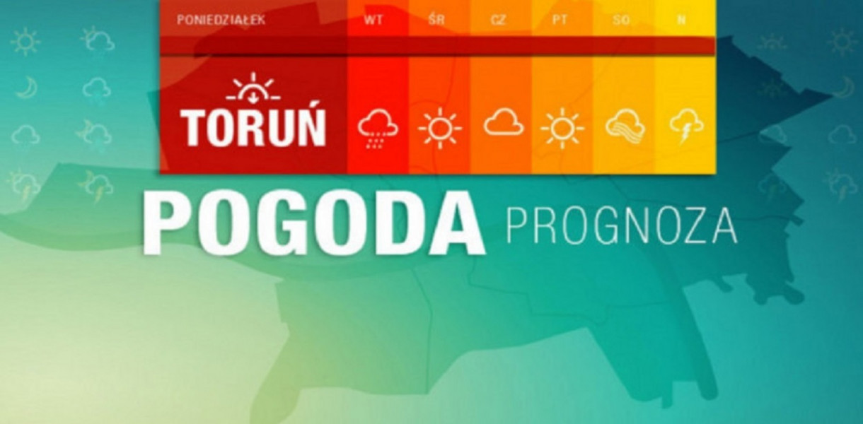 Archiwum DDToruń