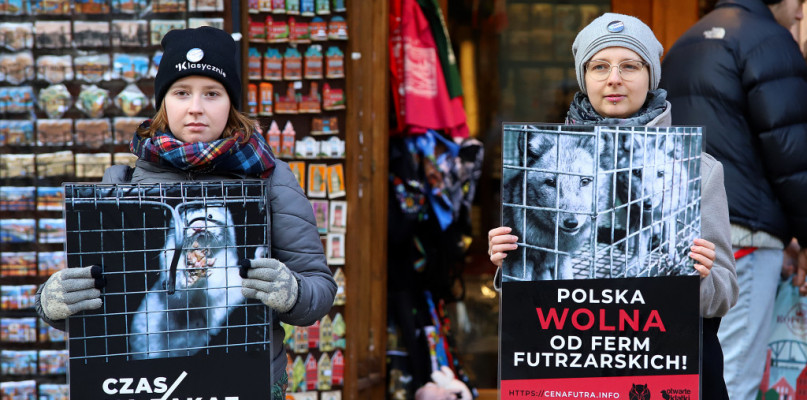 Archiwum DDToruń. Fot. Agnieszka Bielecka