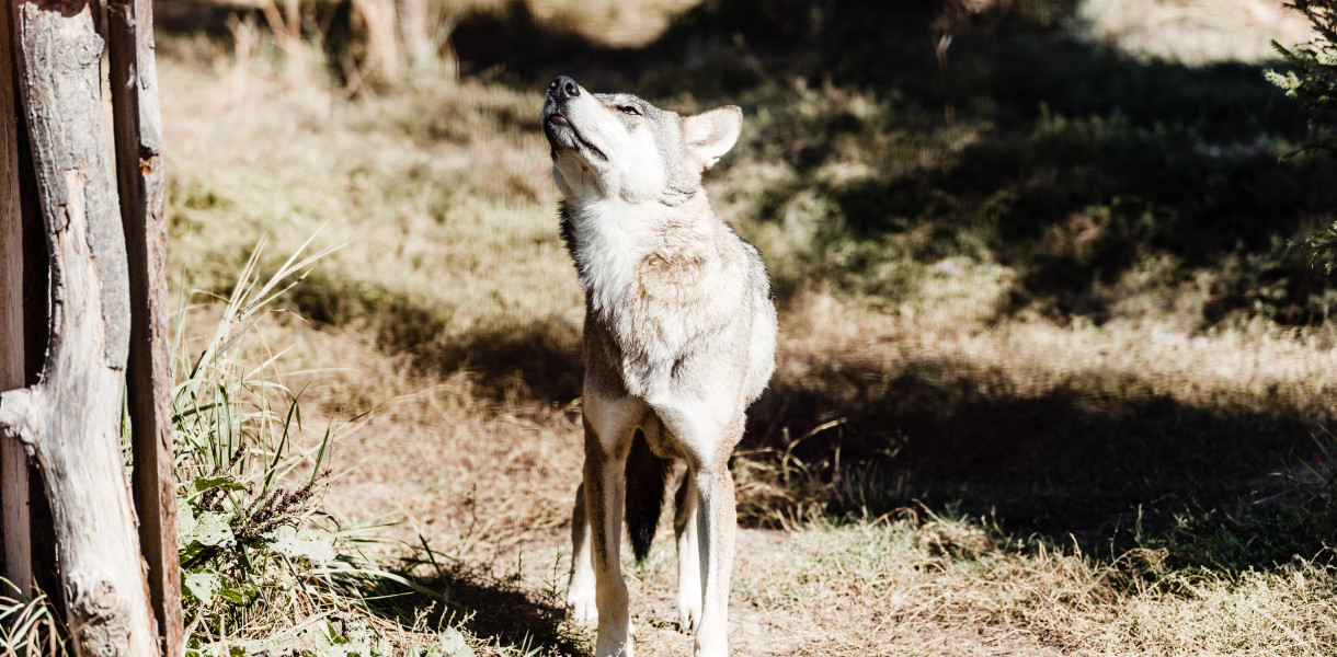 fot. depositphotos/zdjęcie ilustracyjne