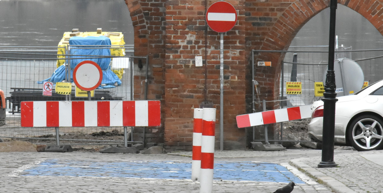 Fot. Daniel Wiśniewski