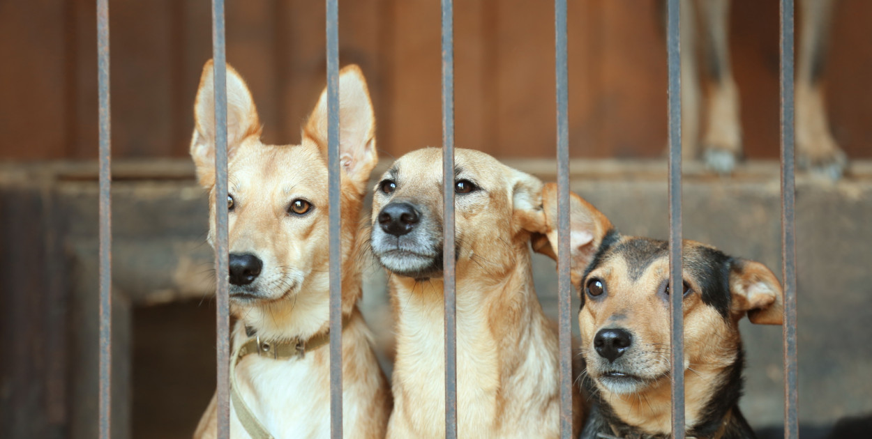 Zdjęcie ilustracyjne. Fot. Depositphotos.com