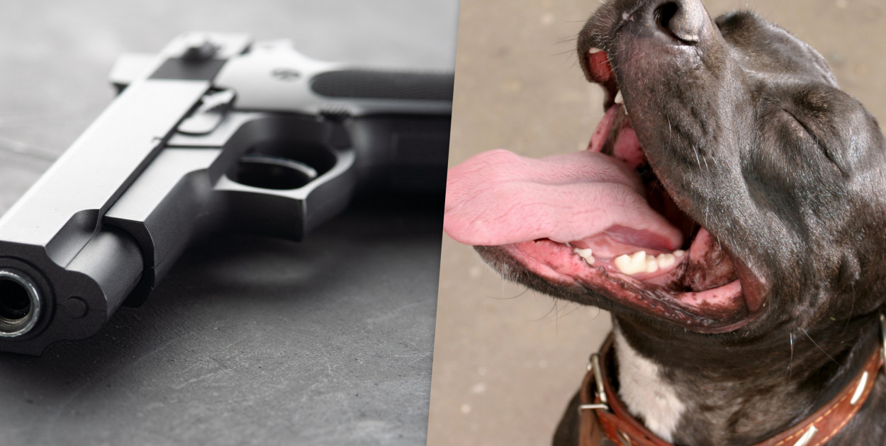 Fot. depositphotos.com