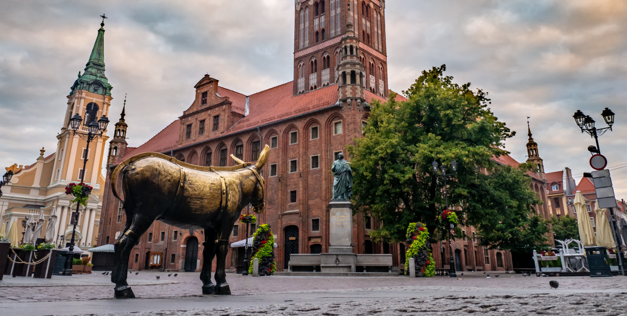 Toruńska starówka, Ratusz Staromiejski, pomnik Mikołaja Kopernika, osiołek 