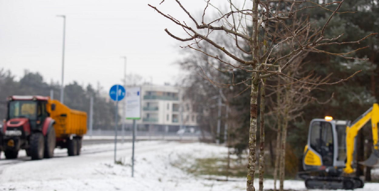 Fot: Agnieszka Bielecka dla UMT