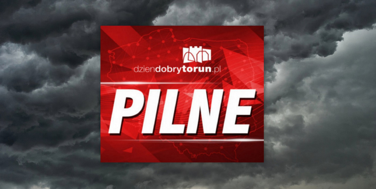 Archiwum DDToruń