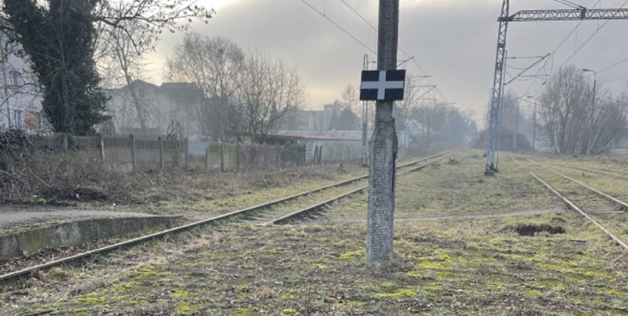 Zdjęcie ilustracyjne. Fot. Daniel Wiśniewski