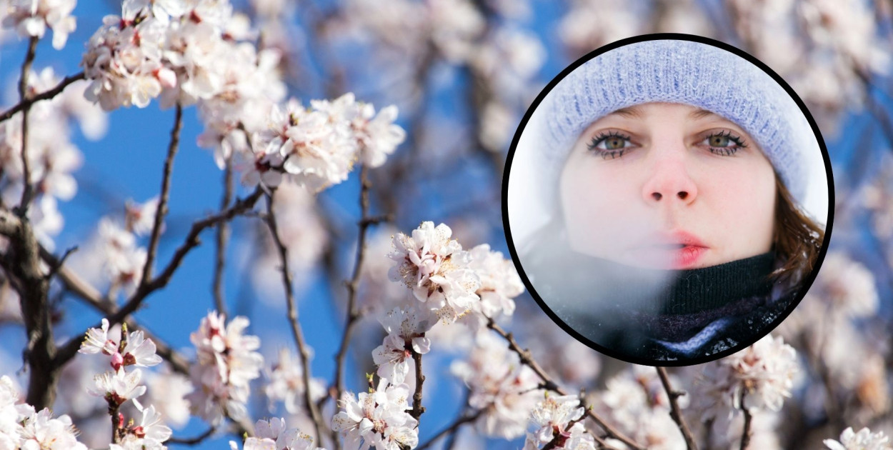 Zdjęcie ilustracyjne. Fot. Depositphotos.com