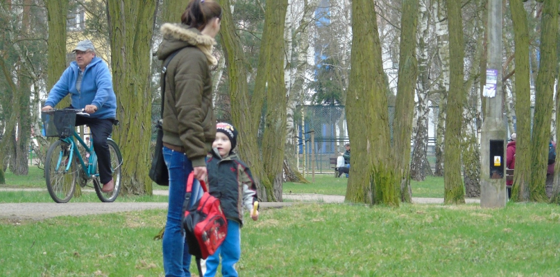 Park Maciej - jeden z wielu toruńskich parków. Bydgoszcz ma ich dużo więcej Fot. M. Malinowski