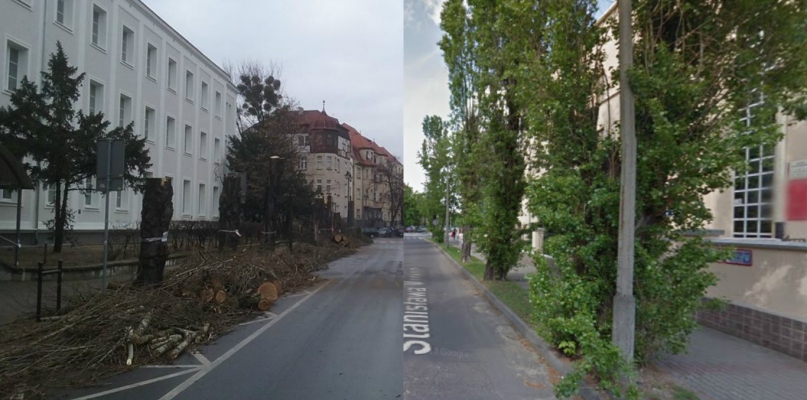 Po prawej: Moniuszki przed rżnięciem w maju 2012 r., po prawej - po cięciu, fot. Michał Choptiany/Google Street View