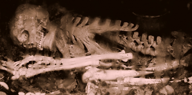 Na Glinkach wydobyto prawie 3 tys. szkieletów, fot. depotiphotos