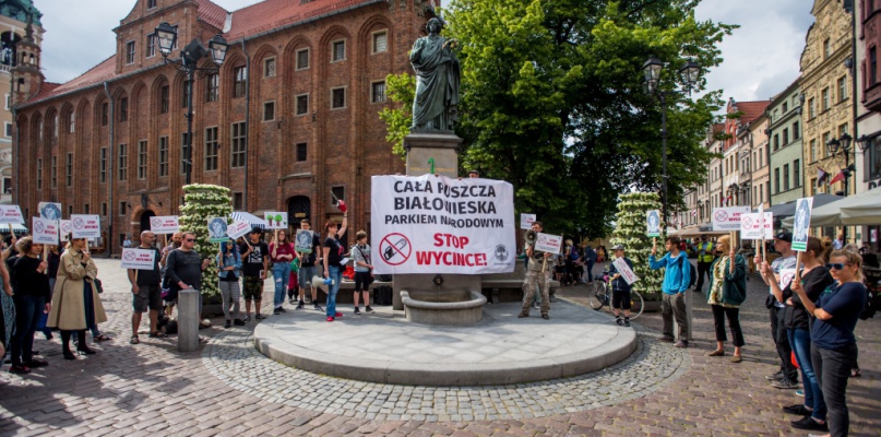 Protest w obronie puszczy pod Kopernikiem, fot. Tomasz Berent