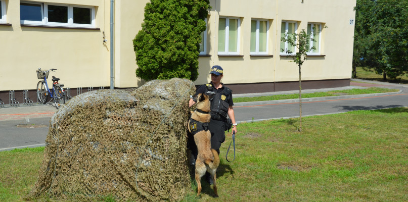 Fot. Straż 