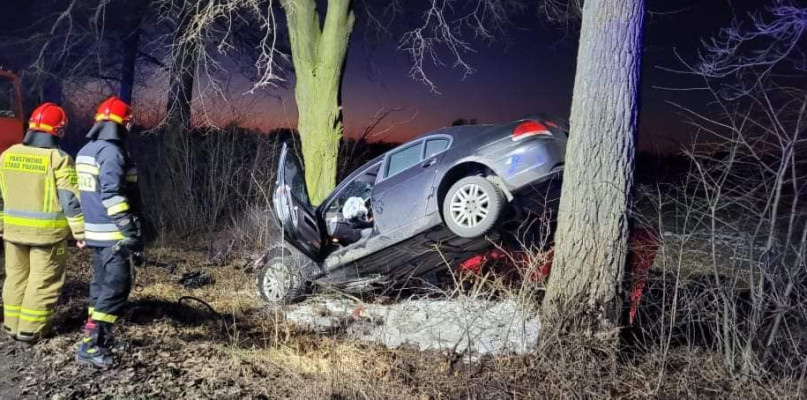 Toruń i region BMW uderzyło w drzewo. 44latek nie miał