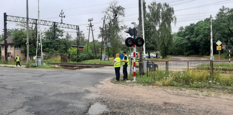 Foto. Nadesłane