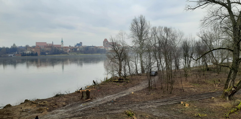 fot. Ogród Dydaktyczny Wydziału Nauk Biologicznych i Weterynaryjnych UMK