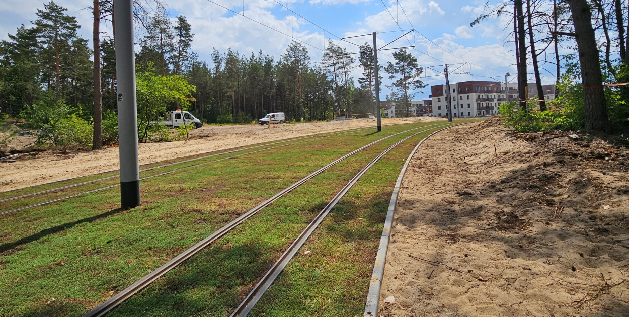 Zielone torowisko na nowej linii tramwajowej. Zdjęcie: MZK 