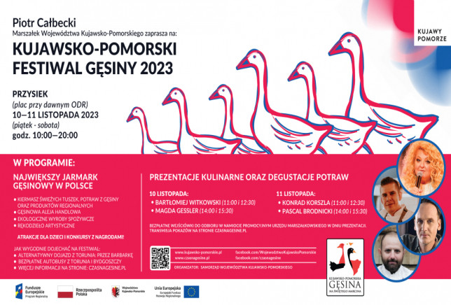 Plakat Festiwalu Gęsiny z harmonogramem. Źródło: czasnagesine.pl