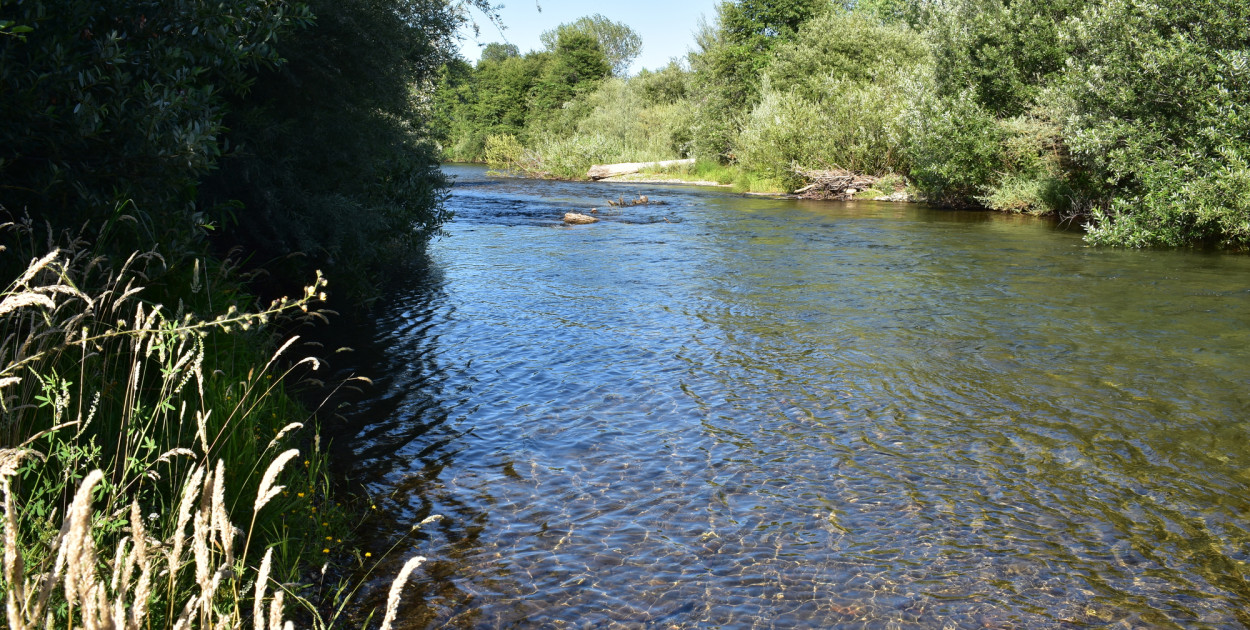 Clear Creek, Kalifornia. Zdjęcie ilustracyjne. Depositphotos