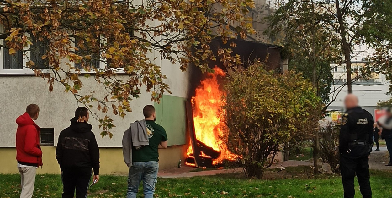 fot: nadesłane