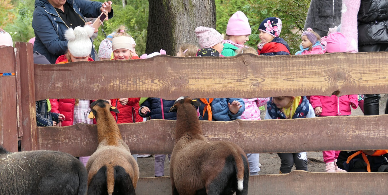 Fot: Ogród Zoobotaniczny w Toruniu