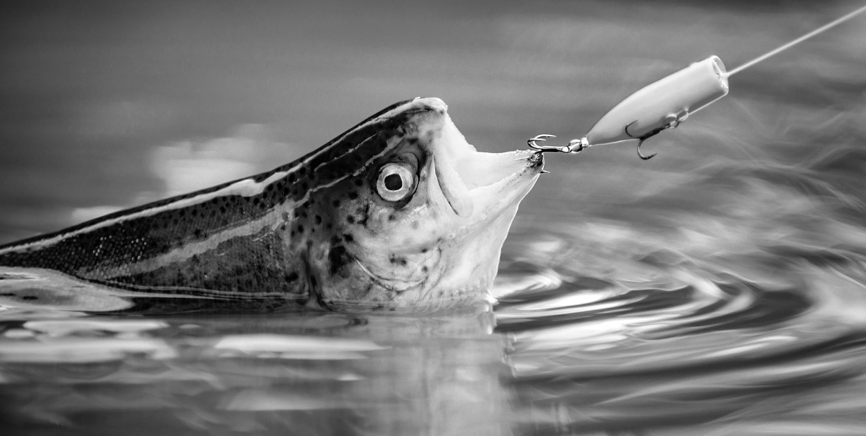 Zdjęcie ilustracyjne. Depositphotos