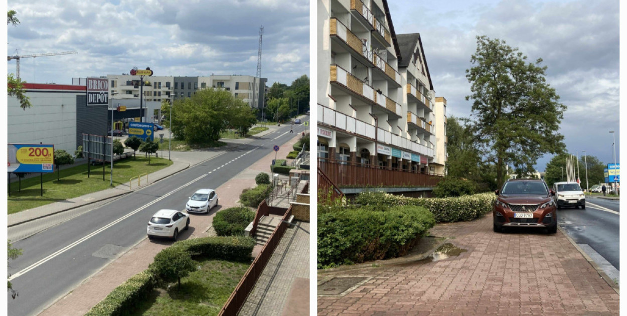 Fot: Toruńskie Święte Krowy