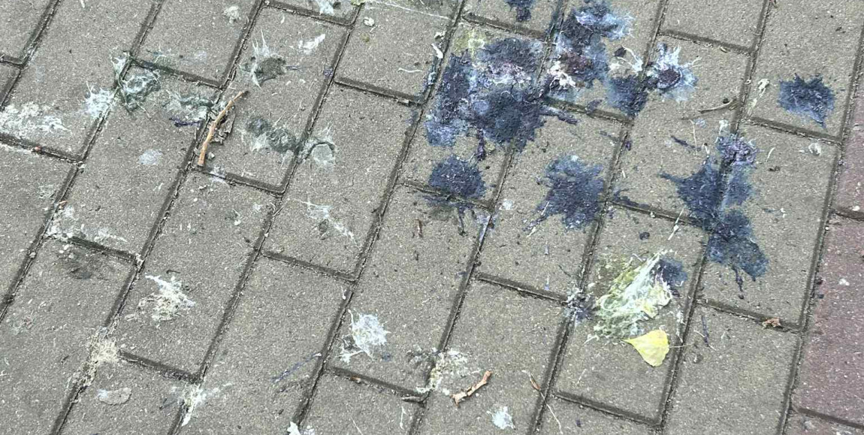 Fot: FB Na Skarpie Toruń