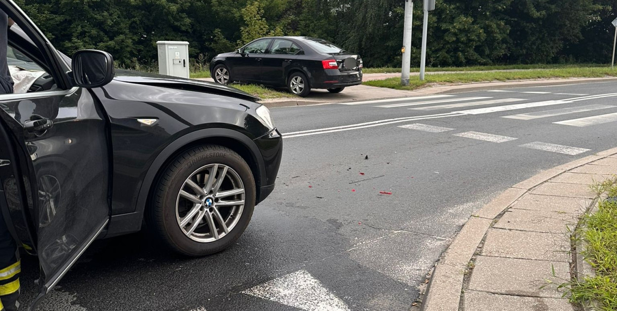 Fot: Tomasz Krajnik