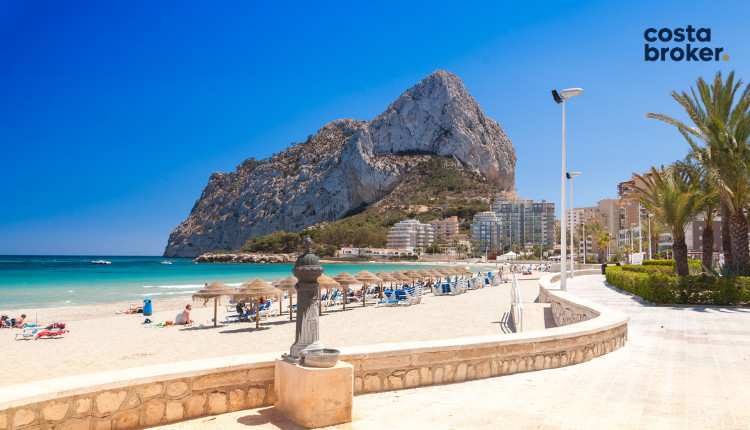 plaża z palmami alicante