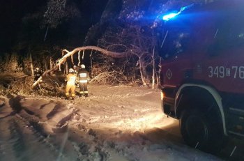 Strażacy interweniowali w związku ze śniegiem-8642